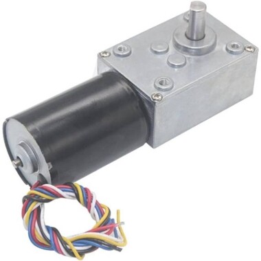 5840-3650.24V 40RPM Fırçasız DC Sonsuz Dişli Düşürücü Motor - 1