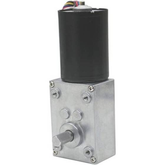 5840-3650.24V 40RPM Fırçasız DC Sonsuz Dişli Düşürücü Motor - 5