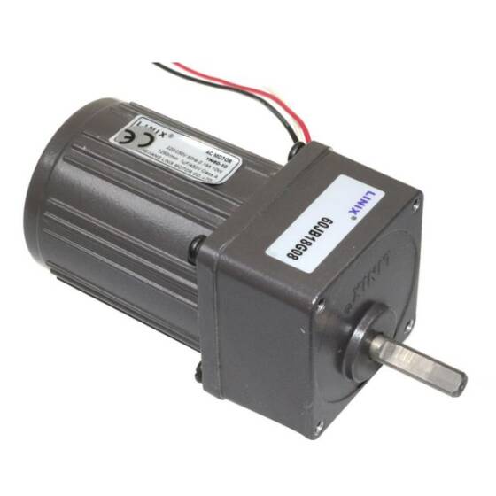 60mm 220V 70 RPM AC Motor YN60-10 - 2