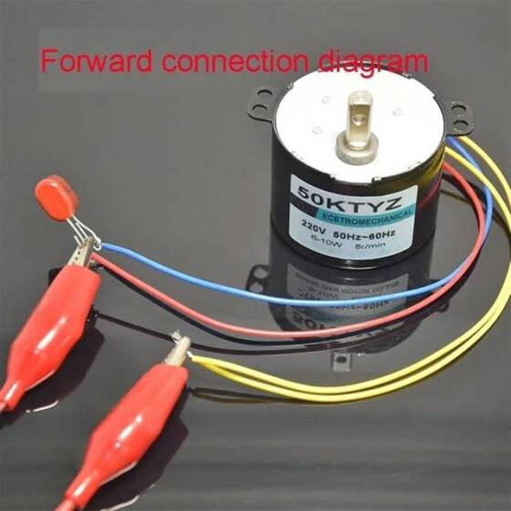 AC 220V 6W 15RPM 50KTYZ Senkron Motor Kalıcı Mıknatıslı - 2