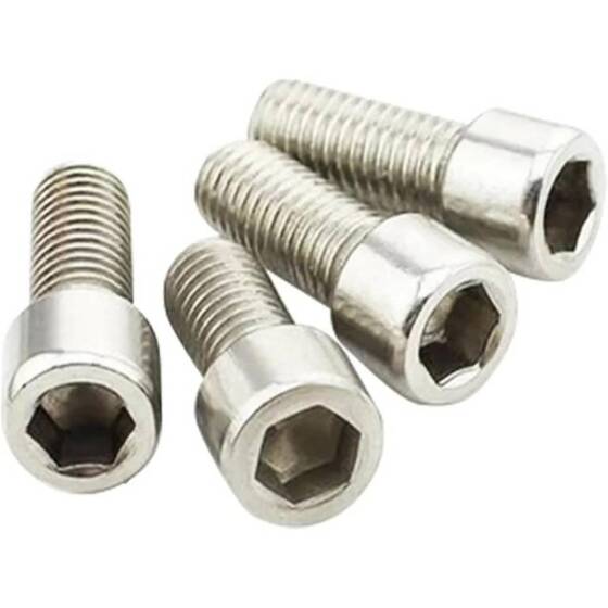 201 Stainless Steel Cylindrical Hexagon Socket Head Screw M2.5 10mm - 4