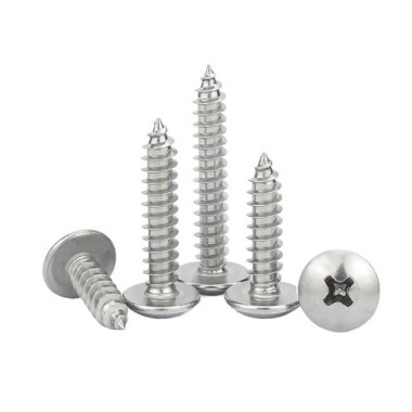 304 Stainless Steel Cross Recessed Pan Head Self-tapping screw M3 10mm - 3