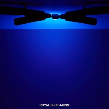 50W SMD High Power LED Bulb Plant Blue - 3