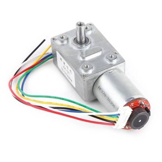5840-3650.24V 10RPM Brushless DC Worm Gear Reduction Motor With Encoder - 1