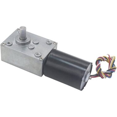 5840-3650.24V 40RPM Brushless DC Worm Gear Reduction Motor With Encoder - 3