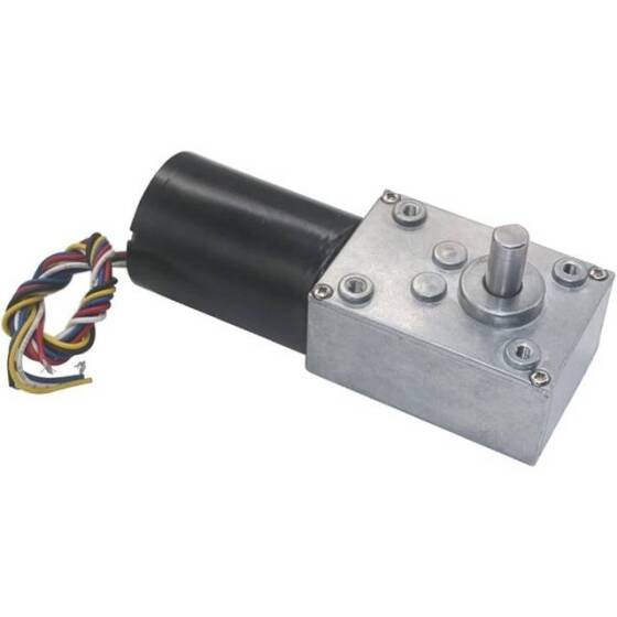 5840-3650.24V 40RPM Brushless DC Worm Gear Reduction Motor With Encoder - 4