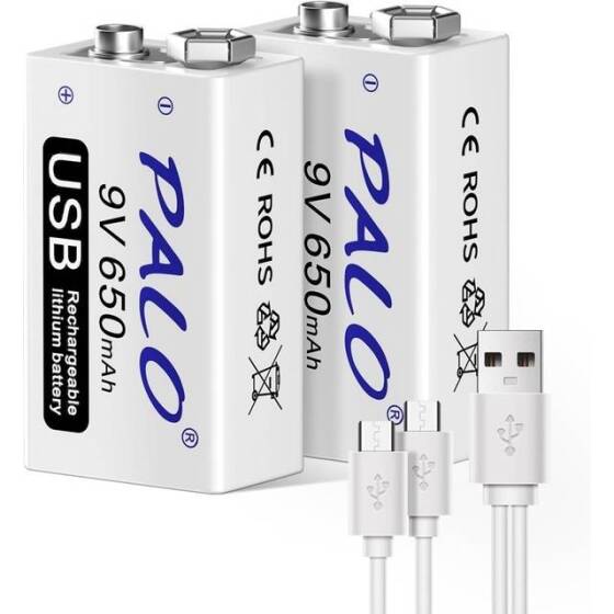 9V 650MAH Usb Rechargeable Lithium Battery Without Usb Cable - 1