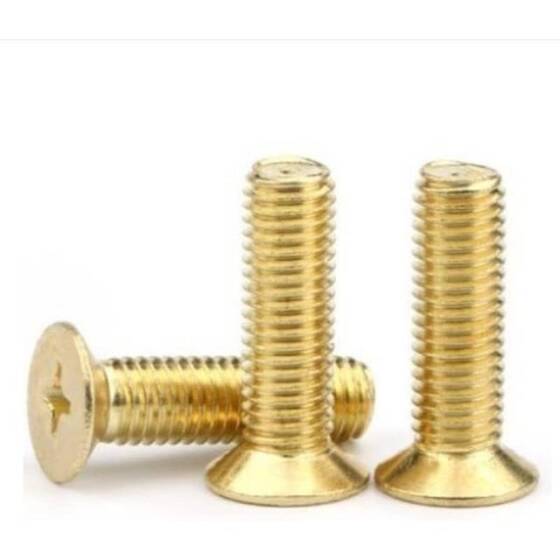 M2.5 10mm Brass Cross Pan Head Screw - 5