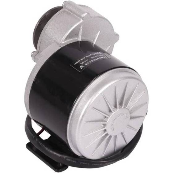 MY1016Z2 250W 12V DC Gear Brushed Motor - 3