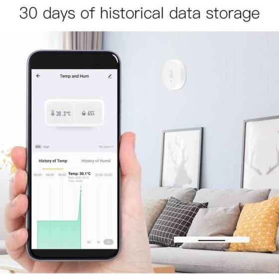 TUYA Zigbee Temperature And Humidity Sensor With Battery - 2