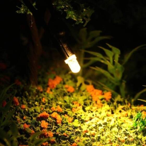 48-72V 3mm Warm White LED Indicator Light With 20cm Cable - 3