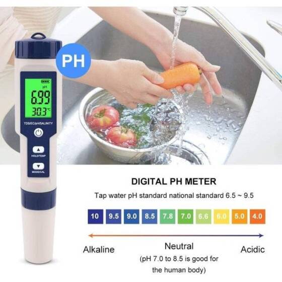 EZ-9909 5 in 1 EC/ TDS/ PH/ TEMP/ SALY Water Quality Tester With Backlight With Battery - 2