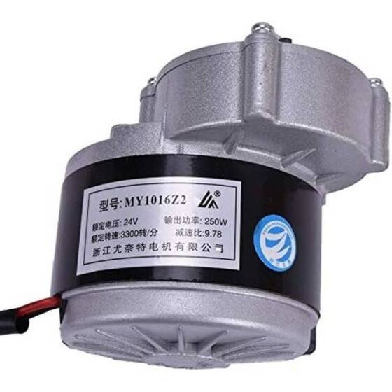 MY1016Z2 250W 24V DC Gear Brushed Motor - 1