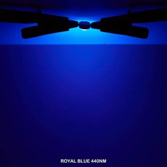 SMD 10W High Power LED Bulb Plant Blue - 5