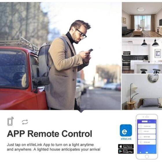 Sonoff RFR2 Smart Home WiFi Mobile Remote Control Siri Voice Control On/Off Switch 10A 433Mhz Version - 8