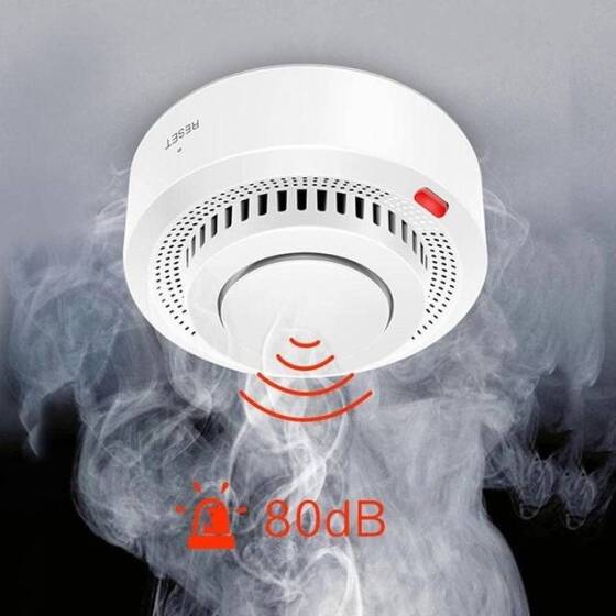 Tuya Zigbee Smoke Alarm With Battery - 5