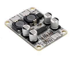 TPA3110 1*30W Mono Amfi Devresi - China