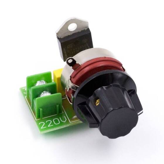220V 3000W AC Motor Sürücü Dimmer - 1