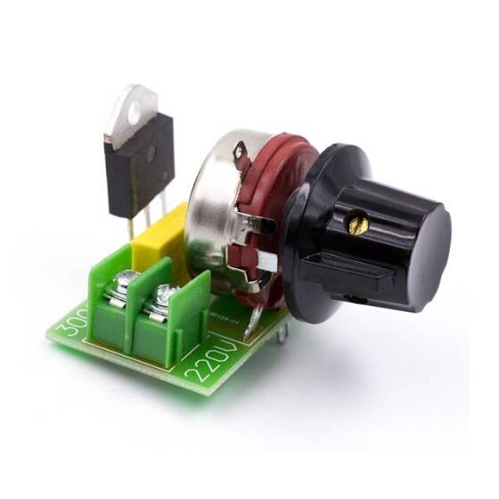 220V 3000W AC Motor Sürücü Dimmer - 4