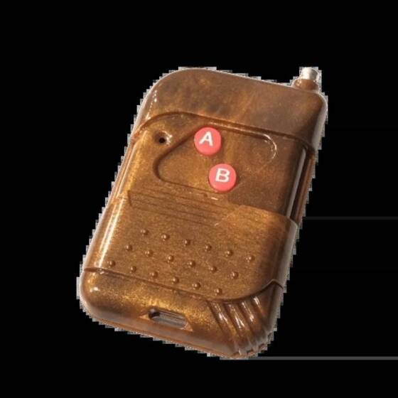 315MHz 12V 2 Kanal Röle Modülü Kablosuz Uzaktan Kumanda AnahtarıPil İle - 3