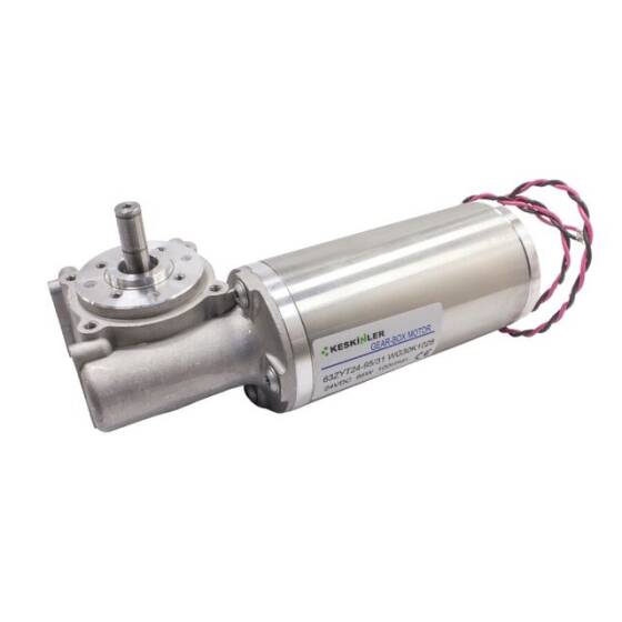 63ZYT24-95/31 24V 35W 100RPM Otomatik Kapı Motoru - 1