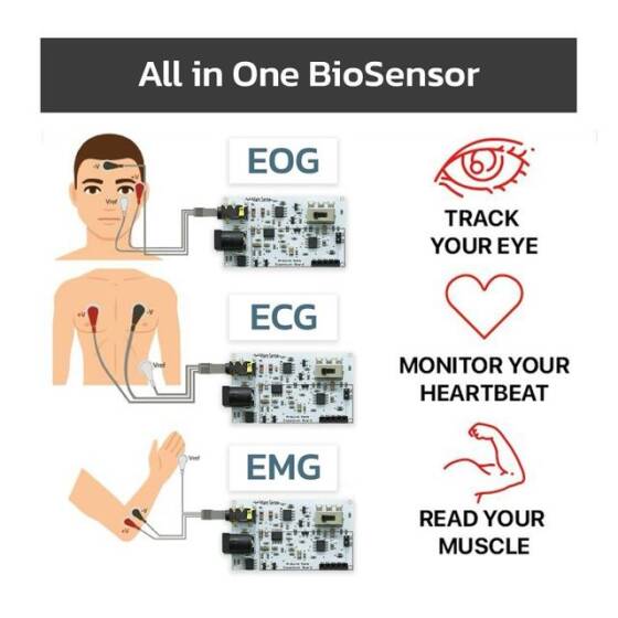 EMG EOG EKG Sensör Kartı (Kas Göz ve Kalp Sinyalleri Algılama) - 1