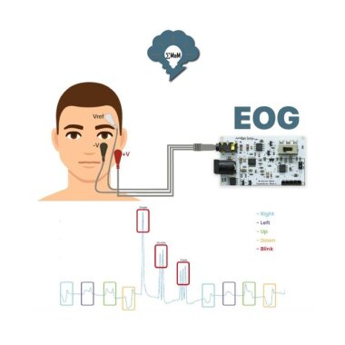 EMG EOG EKG Sensör Kartı (Kas Göz ve Kalp Sinyalleri Algılama) - 2