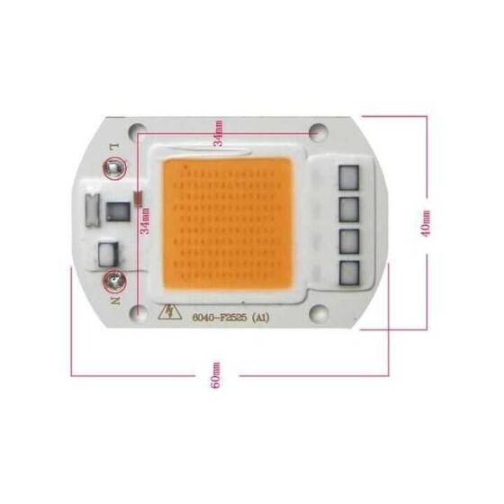 Mavi 220V Projektör Cob Led 50W Driver Çipli - 4
