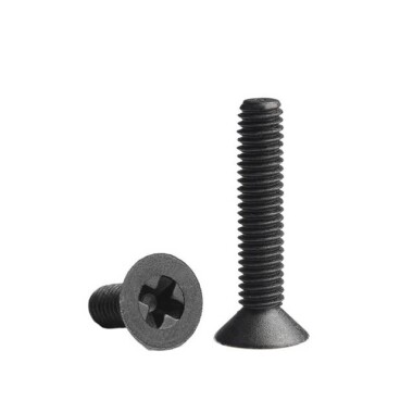 M2-5x8 Black Plastic Nylon Pan Head Phillips Screw - Görsu Elektronik