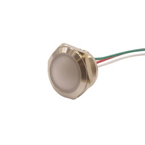 19L-P1/RG+ 19mm 12-24V Kablolu Metal Sinyal Lambası - 2 Renk Anot - 1