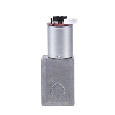 5840-3650.24V 10RPM Fırçasız DC Sonsuz Dişli Düşürücü Motor - 5