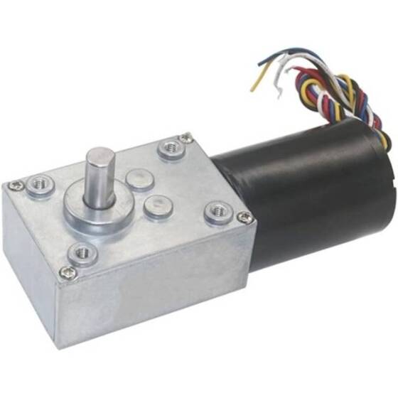 5840-3650.24V 16RPM Fırçasız DC Sonsuz Dişli Düşürücü Motor - 1