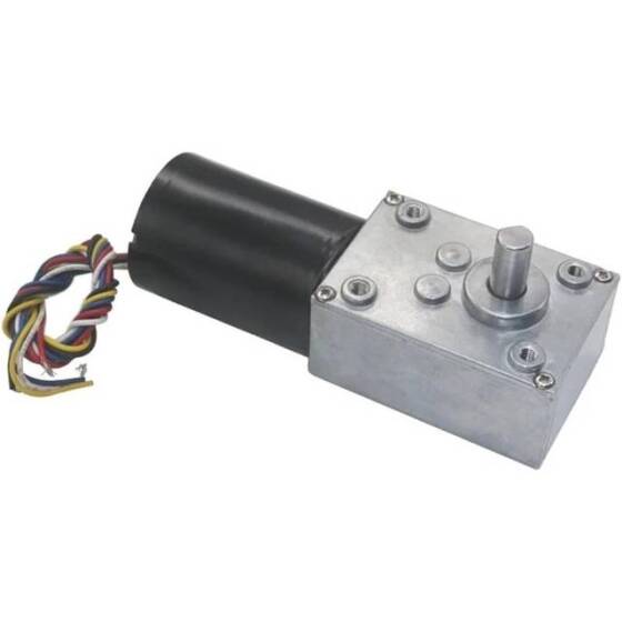5840-3650.24V 7RPM Fırçasız DC Sonsuz Dişli Düşürücü Motor - 5