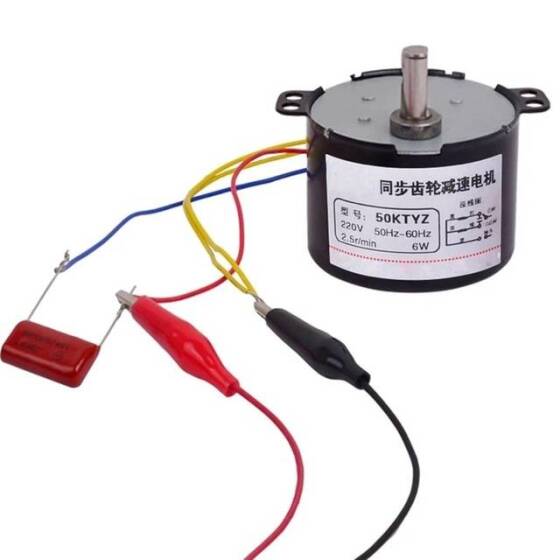 AC 110V 6W 1RPM 50KTYZ Senkron Motor Kalıcı Mıknatıslı - 2