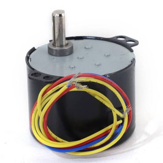 AC 110V 6W 25RPM 50KTYZ Senkron Motor Kalıcı Mıknatıslı - 4
