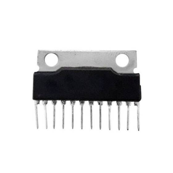 AN17830A ZIP-12 Ses Power Amfi Entegresi - 1