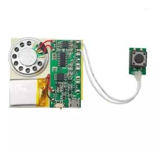 Buton Kontrollü Ses Kayıt ve Çalma Modülü - 1