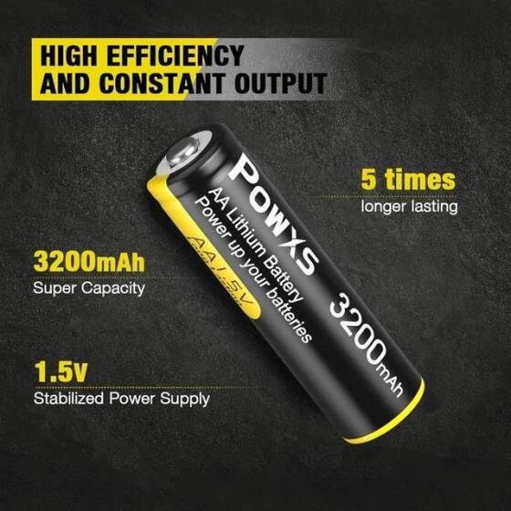 Doublepow 1.5V AA2000MAH LR6 Şarj Edilmeyen Alkalin Pil - 2