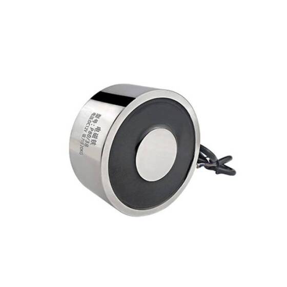 P30/22 12V DC Elektromıknatıs 15KG Tutma Gücü - 1