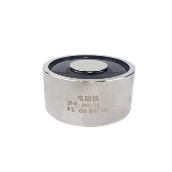 P30/22 12V DC Elektromıknatıs 15KG Tutma Gücü - 2