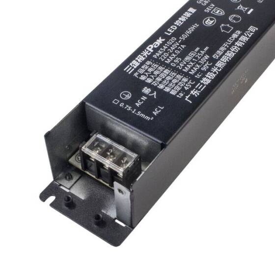 PAK541020 24V 1.25A 30W Led Sürücü - 2