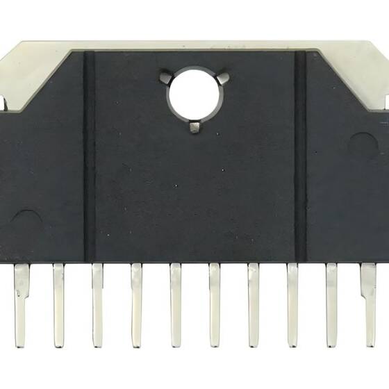 TA8265K HSIP-10 Ses Power Amfi Entegresi - 1